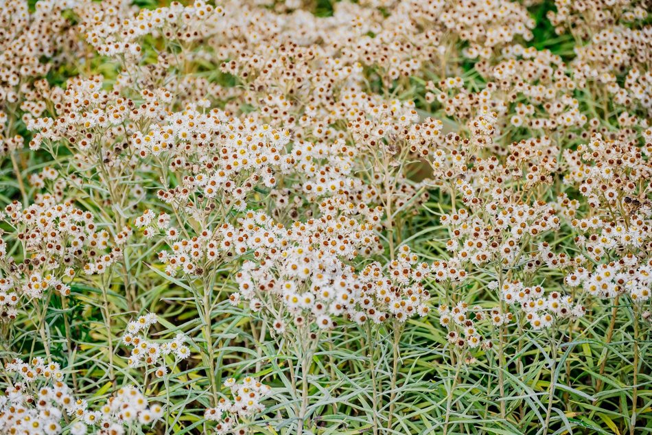 Łódź. Jesień w Ogrodzie Botanicznym w Łodzi. Tam z pewnością pokochasz tę porę roku!