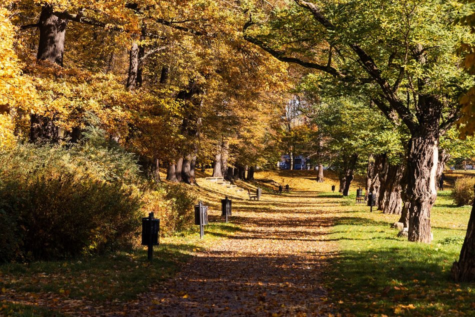 Łódź. Park Helenów w Łodzi w jesiennej odsłonie. Spacer w tym miejscu to czysta przyjemność