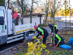 Łódź. Niemal 100 nowych drzew na Retkini w Łodzi. Już cieszą oczy mieszkańców