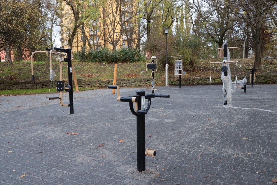 Remont parku Staromiejskiego