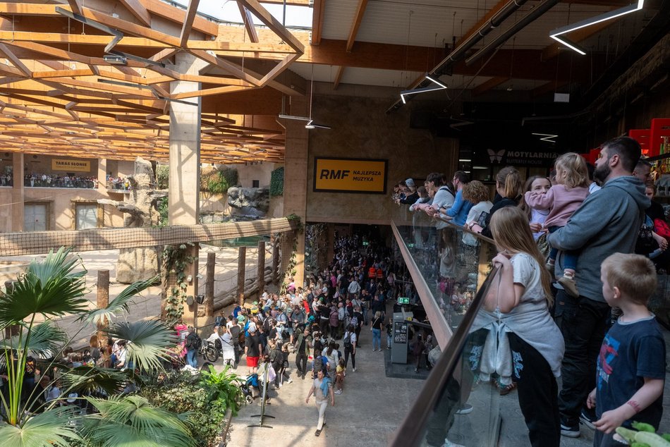 Tłumy w Orientarium Zoo Łódź! Nowości przyciągają jak magnes!