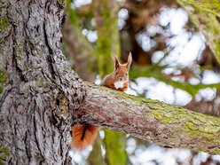 Park Poniatowskiego w zimowej szacie