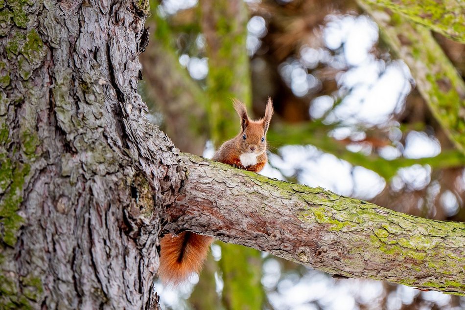 Park Poniatowskiego w zimowej szacie