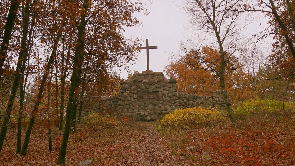 Pomysły na szybkie wycieczki rowerowe wokół Łodzi