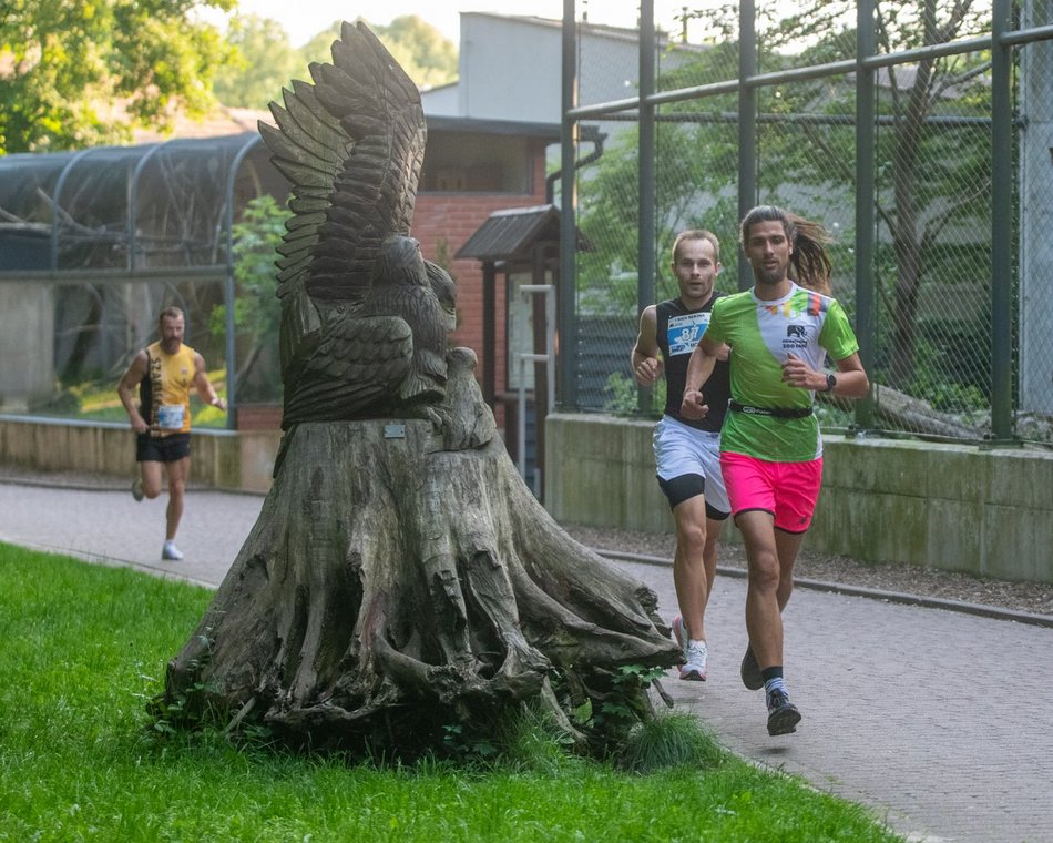 Bieg Rekina w Orientarium Zoo Łódź