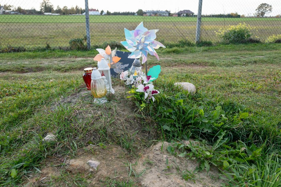 Cmentarz dla zwierząt w Łodzi