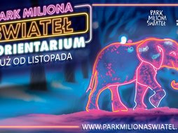 Park Miliona Świateł przy Orientarium Zoo Łódź