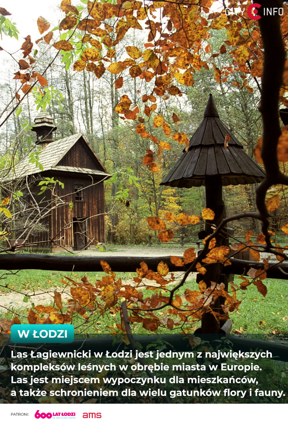 Ciekawostki o Łodzi na ekranach AMS