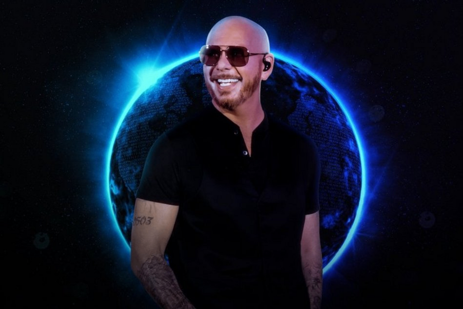 Łódź. Pitbull