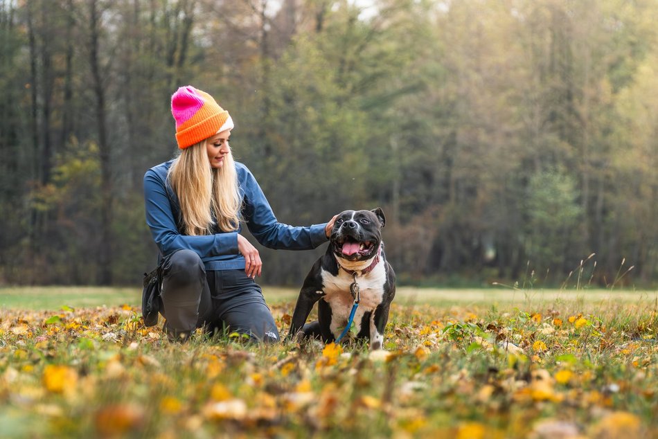 Łódź. Stowarzyszenie „Amstaffy Niczyje” z Łodzi zwalcza stereotypy. Siła i łagodność mogą iść w parze!