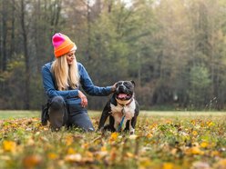 Łódź. Stowarzyszenie „Amstaffy Niczyje” z Łodzi zwalcza stereotypy. Siła i łagodność mogą iść w parze!