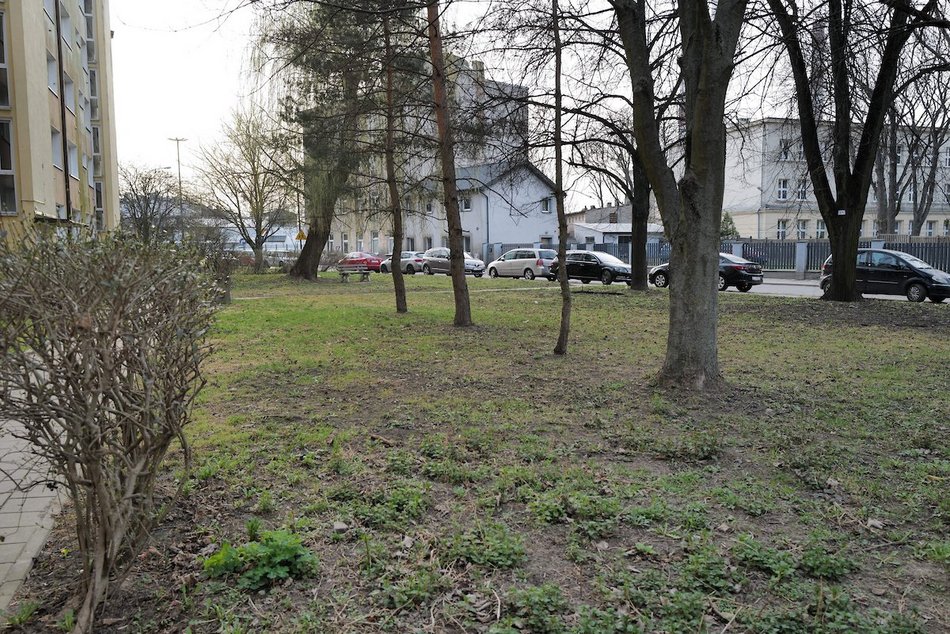 Łódź. Ulica Skrzywana w Łodzi będzie jeszcze zieleńsza! Nowy skwer w ramach Budżetu Obywatelskiego Łódź