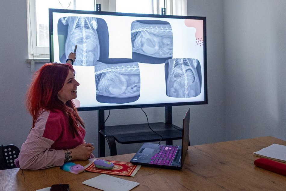 Łódź. Orientarium Zoo Łódź to nie tylko atrakcja. Tu szkolą się najlepsi weterynarze zwierząt egzotycznych