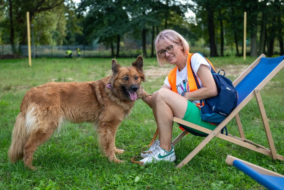 Łódź. Ostatni Psia Polówka w Łodzi za nami. Nic słodszego dziś nie zobaczysz!