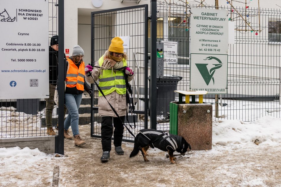 Łódź. Psy ze schroniska w Łodzi znów na spacerze! Dla tych wesołych pyszczków aż chce się chodzić!