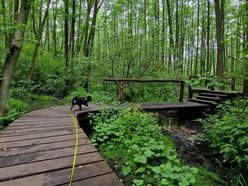 Łódź. Uroczysko Lublinek