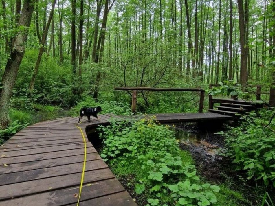 Łódź. Uroczysko Lublinek