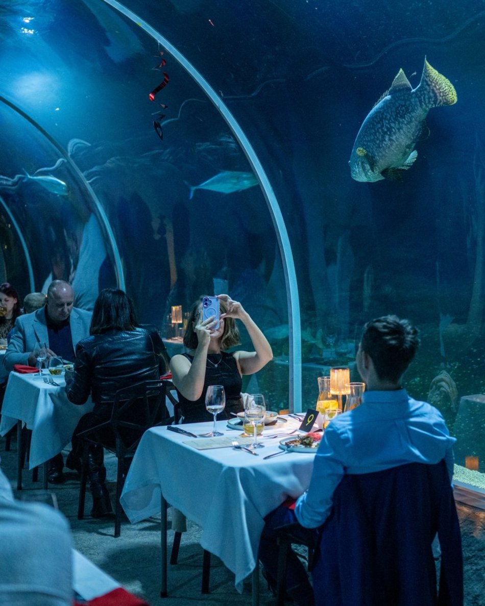 Łódź. Walentynki w Orientarium Zoo Łódź. Przysmaki, koncert na harfie i... zaręczyny