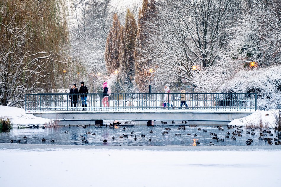 Park Helenów zimą