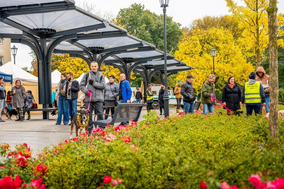 Światowy Dzień Zwierząt w Łodzi