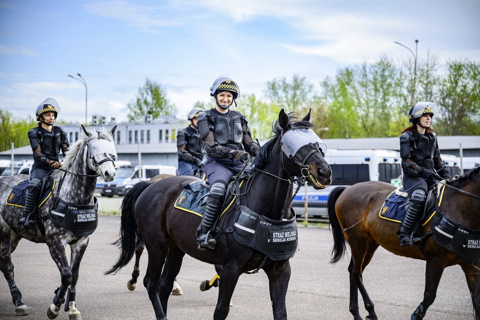 Łódź. Zwierzęta Straży Miejskiej na szkoleniu
