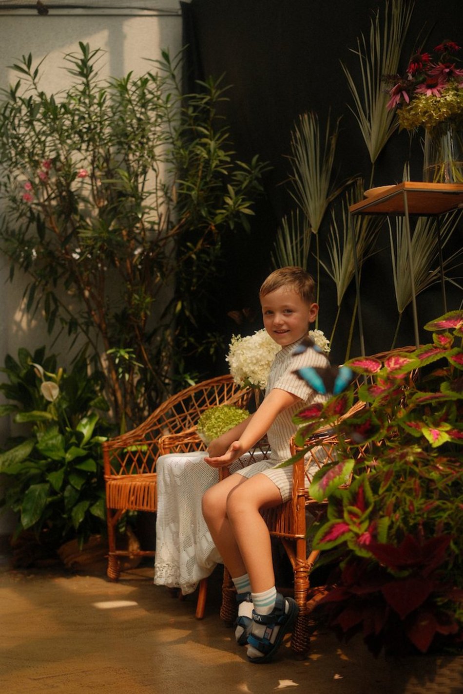 Łódź. Motyle z tropików na długi weekend. Kolorowa wystawa w Palmiarni