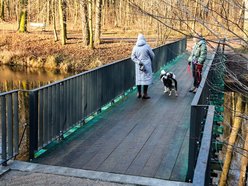 Łódź. Nowa kładka w parku Julianowskim
