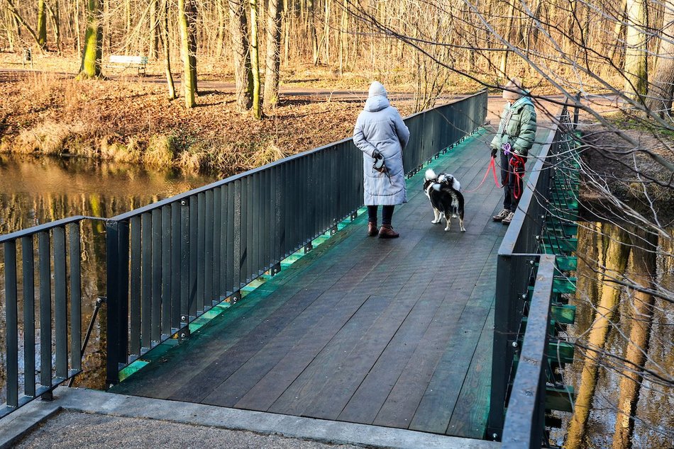 Łódź. Nowa kładka w parku Julianowskim