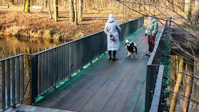 Nowa kładka w parku Julianowskim w Łodzi. Dobra wiadomość dla amatorów spacerów [ZDJĘCIA]