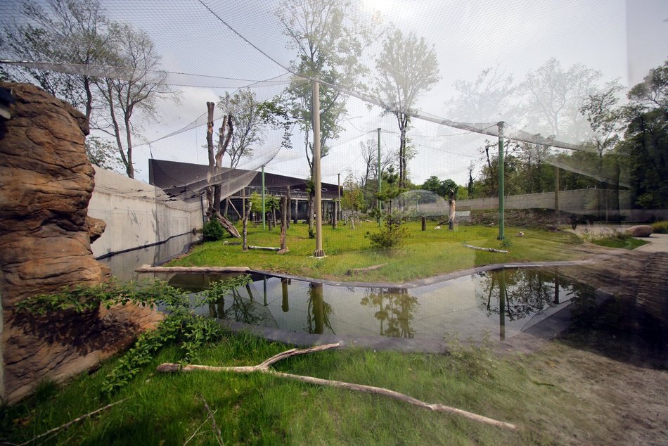 Sępy w Orientarium Zoo Łódź