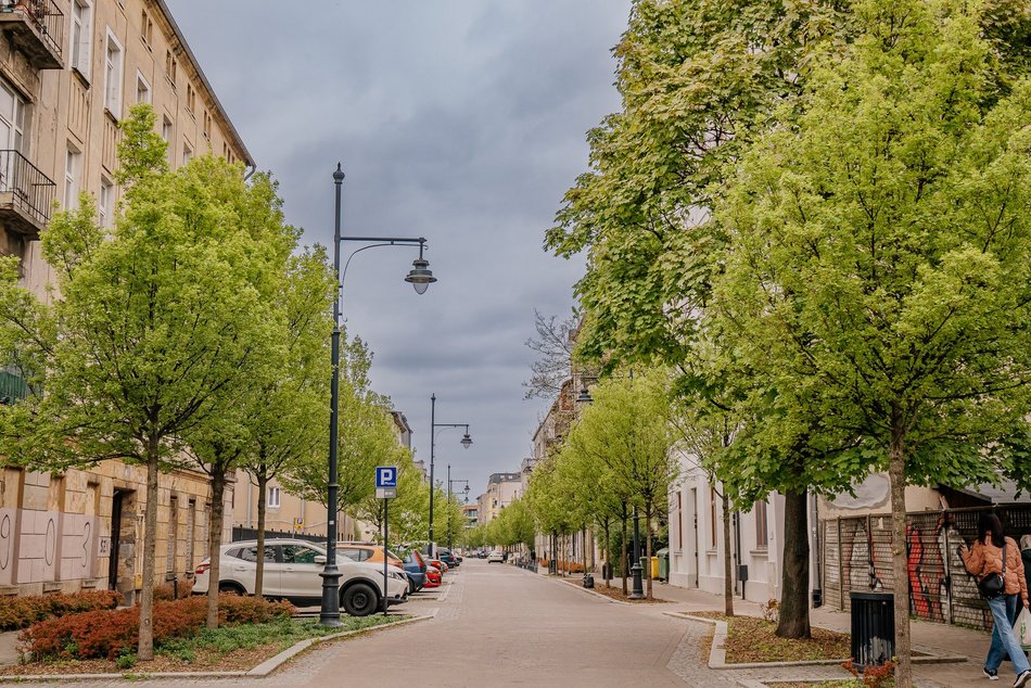 Łódź. TOP 10 woonerfów w Łodzi! To prawdziwe oazy zieleni w centrum miasta
