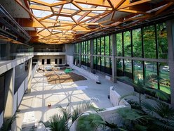 Łódź. Figloraj w Orientarium Zoo Łódź