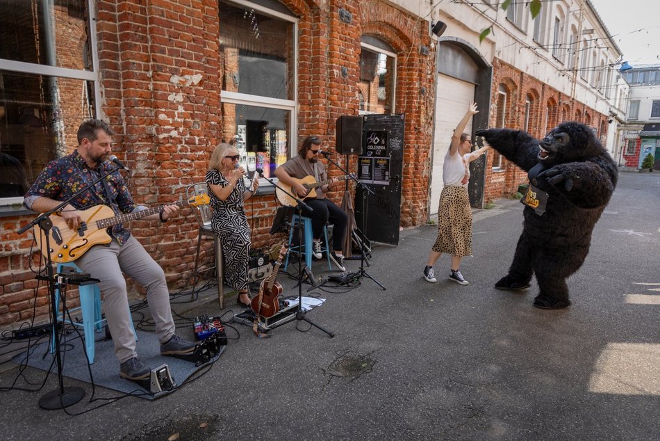 Łódź. Gastro dla schroniska w Łodzi. Tak się łączy miłość do jedzenia, muzyki i zwierząt!