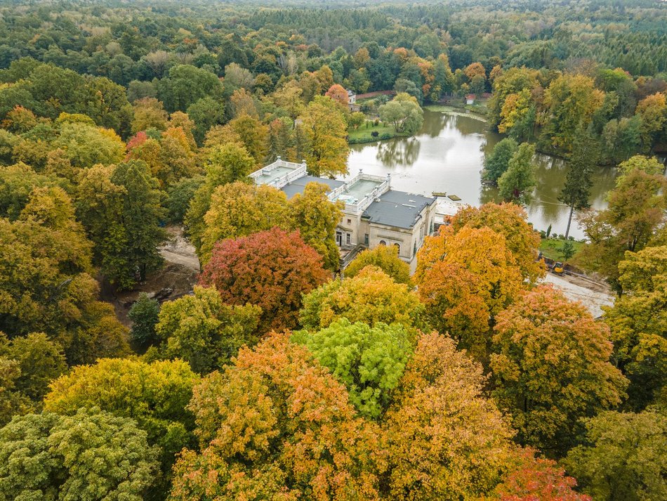 Las Łagiewnicki w Łodzi jesienią