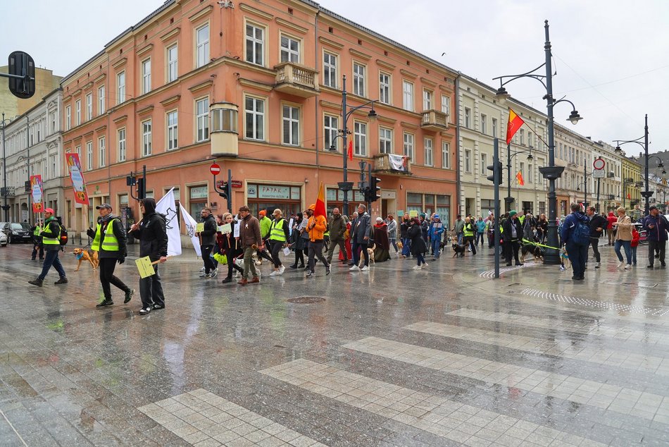 Parada kundelków w Łodzi 2025 przeszła ulicami. Skala słodyczy wysoka jak nigdy!