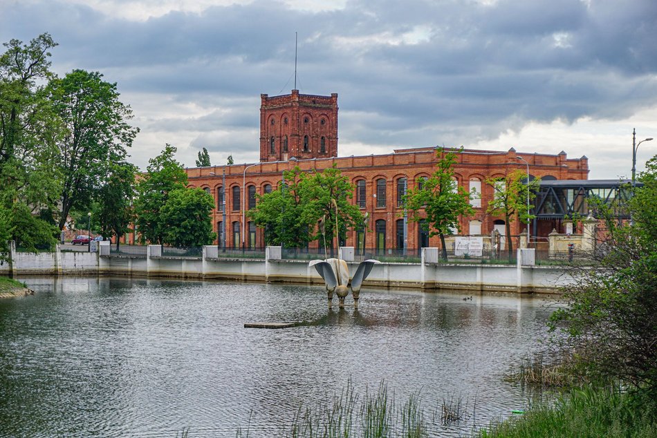 Łódź. Odkryj botaniczne skarby Łodzi. Zielony spacer w centrum miasta 