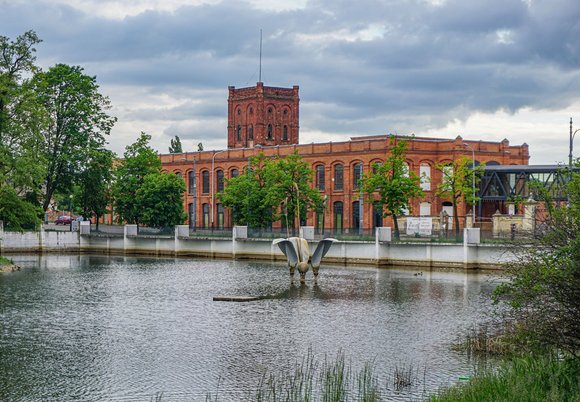 Łódź. Odkryj botaniczne skarby Łodzi. Zielony spacer w centrum miasta 