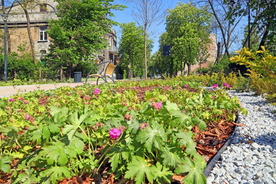 Łódź. TOP 10 woonerfów w Łodzi! To prawdziwe oazy zieleni w centrum miasta