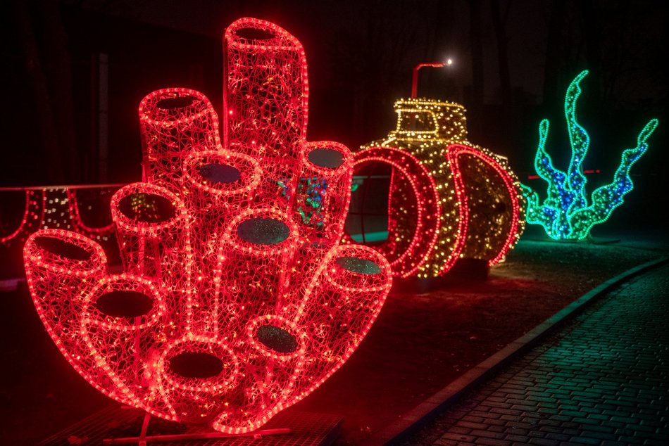 Park Miliona Świateł w Orientarium Zoo Łódź