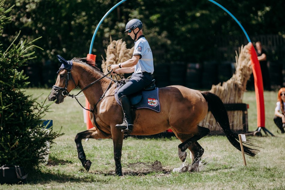 Międzynarodowy Turniej Mundurowych Formacji Konnych
