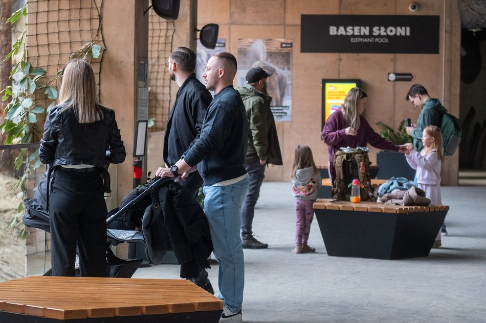 Łódź. Wielkanocny zając w Orientarium Zoo Łódź
