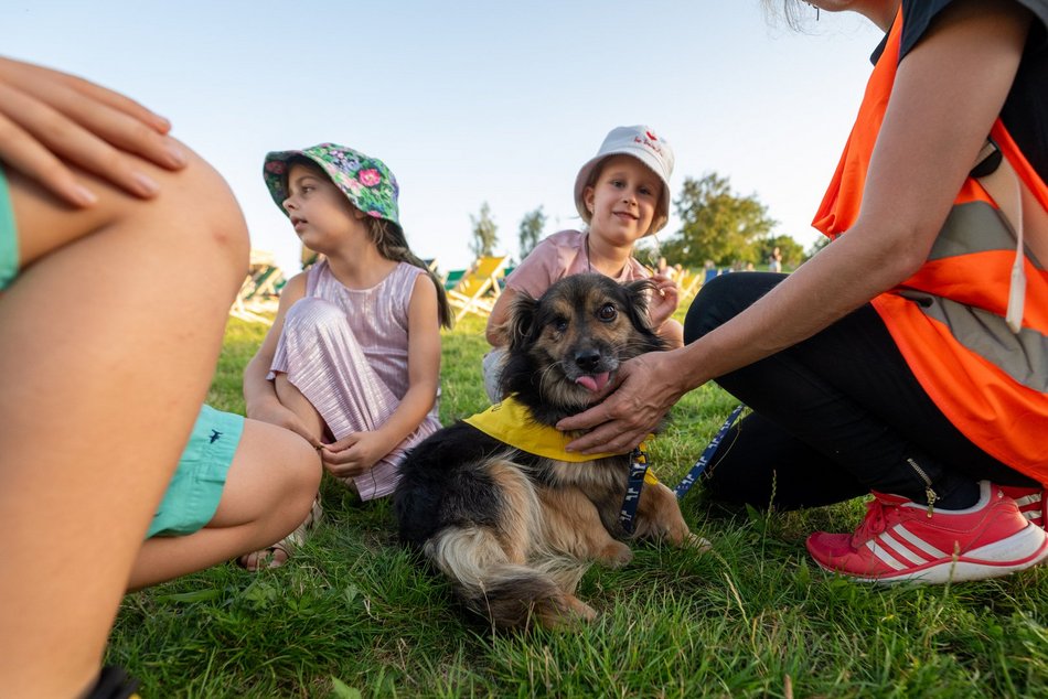 Łódź. Psia Polówka na Widzewskiej Górce. Psiaki przejęły dowodzenie!