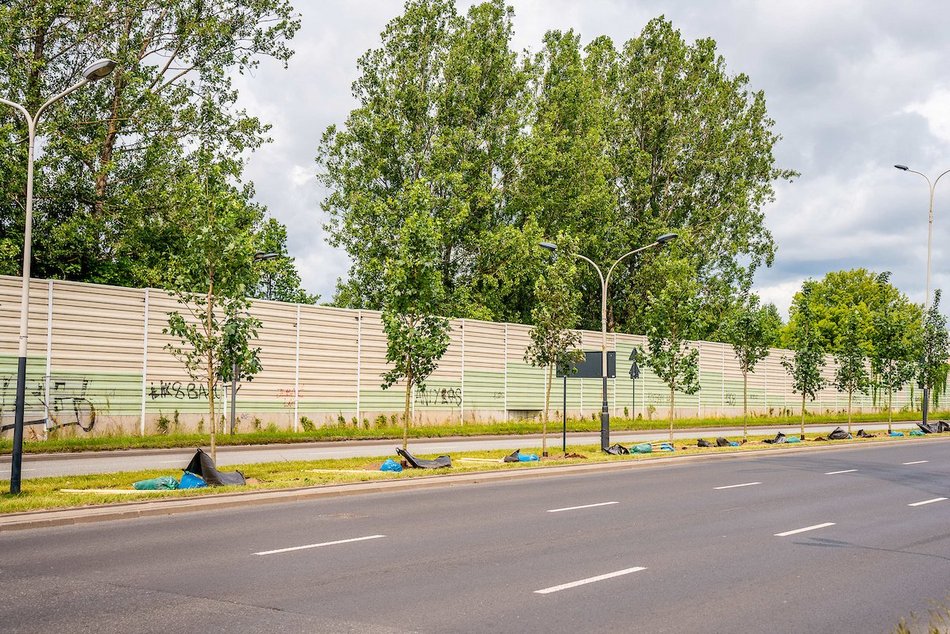 Łódź. Budżet Obywatelski Łódź 2025. Więcej zieleni przy Włókniarzy Łodzi