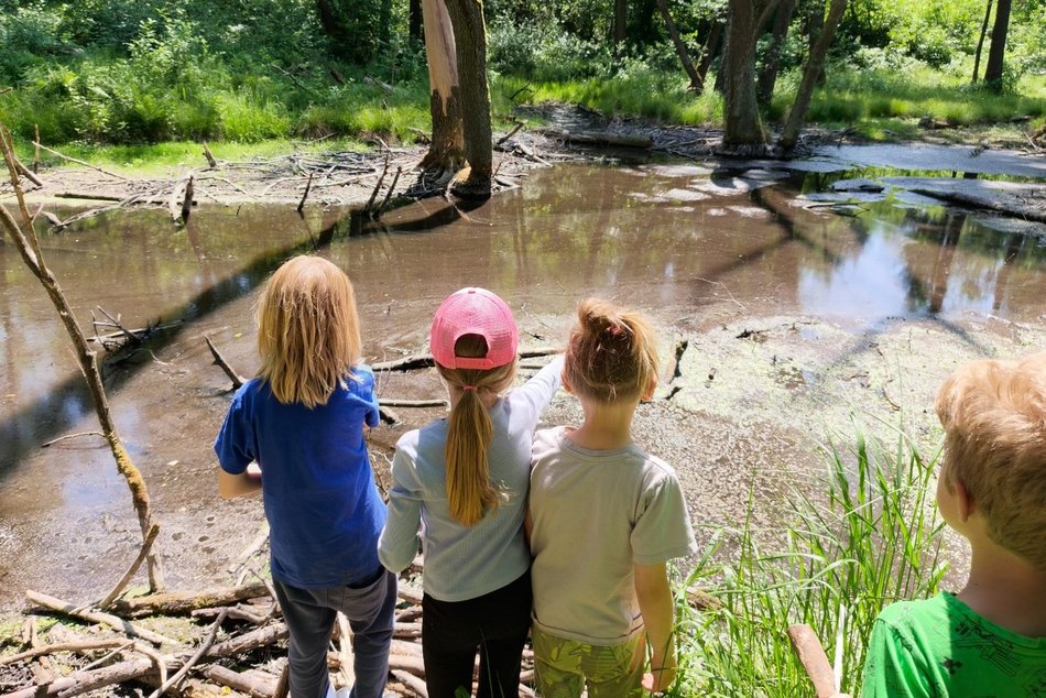 Łódź. Leśne przedszkola w Łodzi i okolicach. Natura na wyciągnięcie ręki