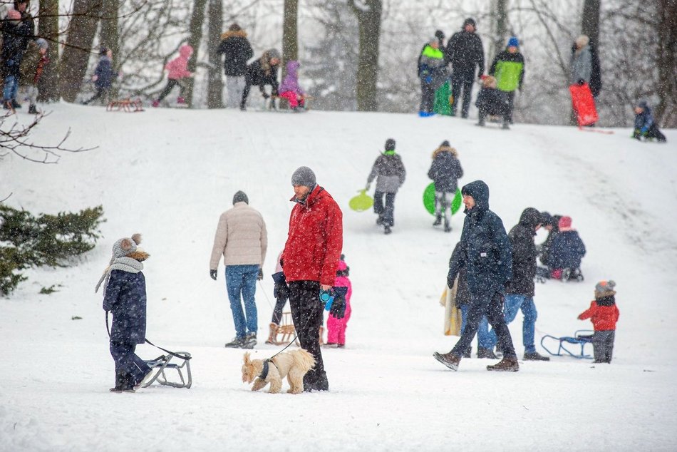 Łódź. Gdzie na sanki
