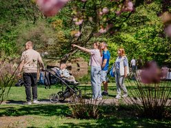 Łódź. Ogród Botaniczny w Łodzi