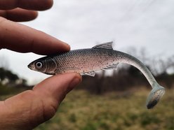 Łódź. Ma swój „haczyk” na ryby. Wędkarz Jakub Dziki z Łodzi produkuje własne przynęty