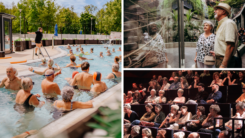 Łódź. Senioralia 2026 w Łodzi