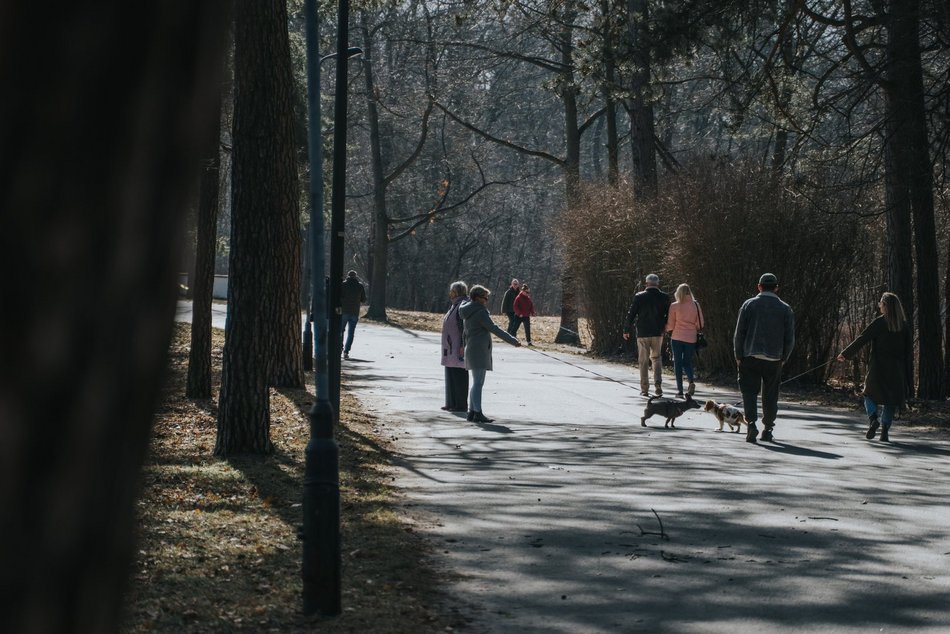 Łódź. Dobra pogoda w Łodzi sprzyja spacerowaniu! Tłumy w Parku na Zdrowiu w Łodzi