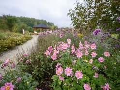 Odkryj nowy plac zabaw na Złotnie w Łodzi. Powstał w stylu naturalnych bawialni